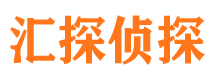 鲁甸侦探公司